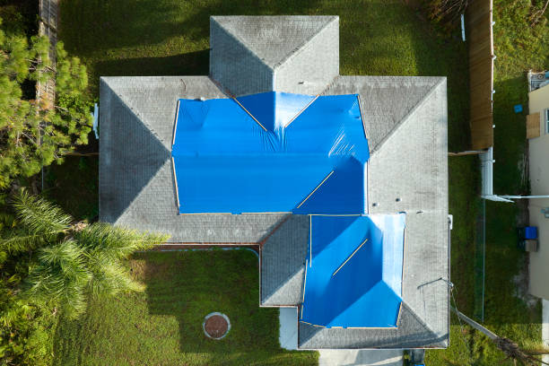 Best Roof Maintenance and Cleaning  in Hardwick, GA