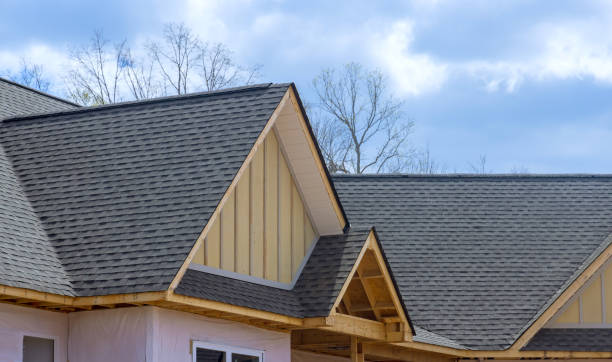 Best Roof Ventilation Installation  in Hardwick, GA